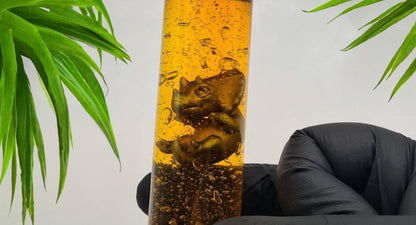 Jurassic Park / World Dino Embryo Glass Container - Velociraptor, T-Rex und mer Fanmade Fankreation Dinosaurier InGen Cosplay