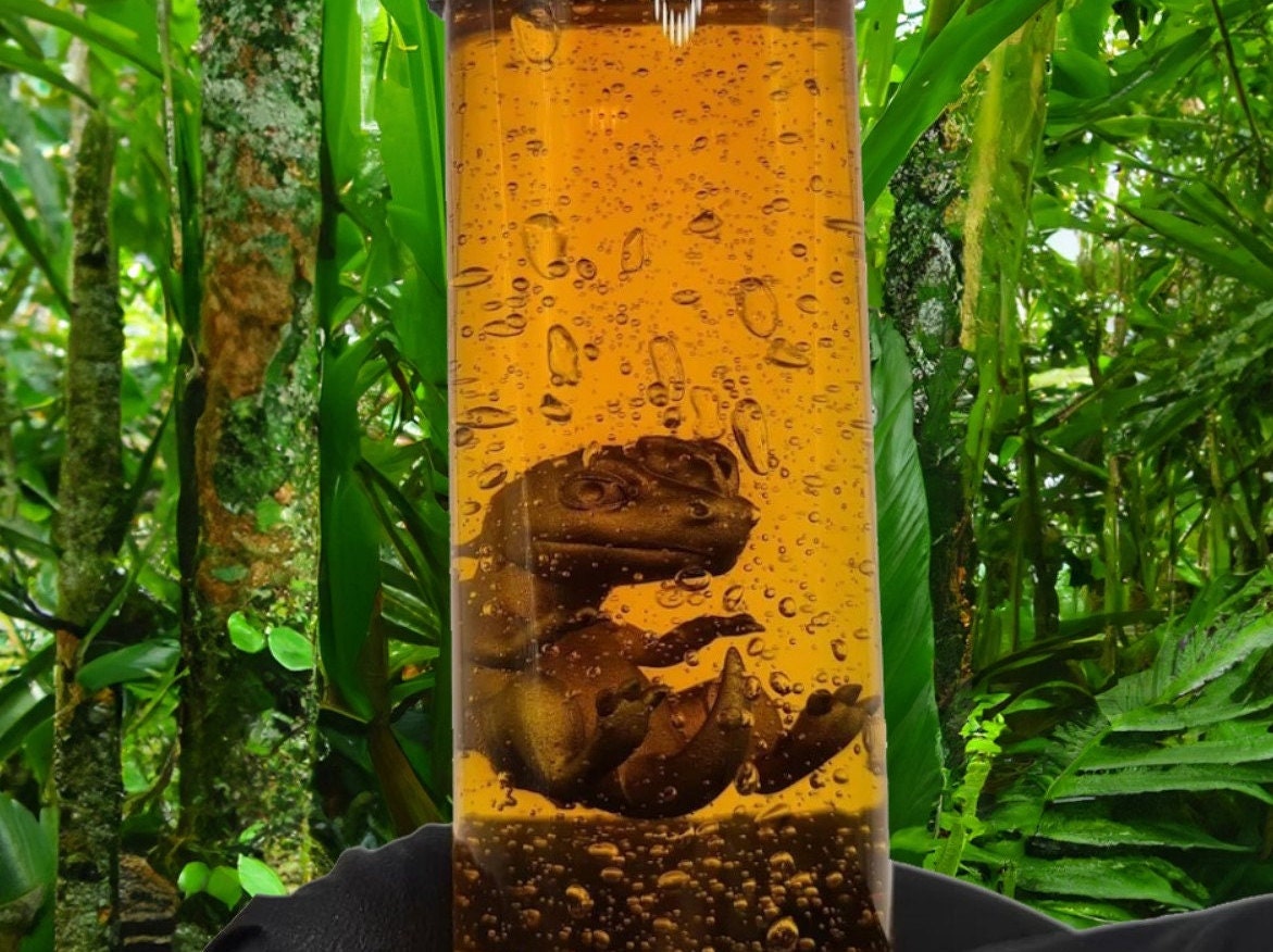 Jurassic Park / World Dino Embryo Glass Container - Velociraptor, T-Rex und mer Fanmade Fankreation Dinosaurier InGen Cosplay