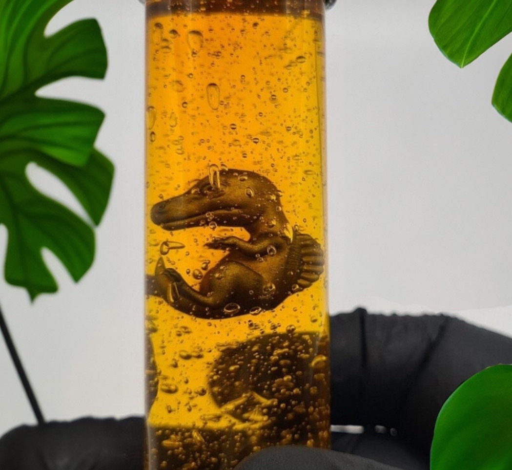 Jurassic Park / World Dino Embryo Glass Container - Velociraptor, T-Rex und mer Fanmade Fankreation Dinosaurier InGen Cosplay