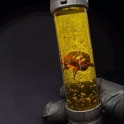 Snark Half-Life 2 Cosplay Valve Gordon Freeman Deko Dekoration Fanmade