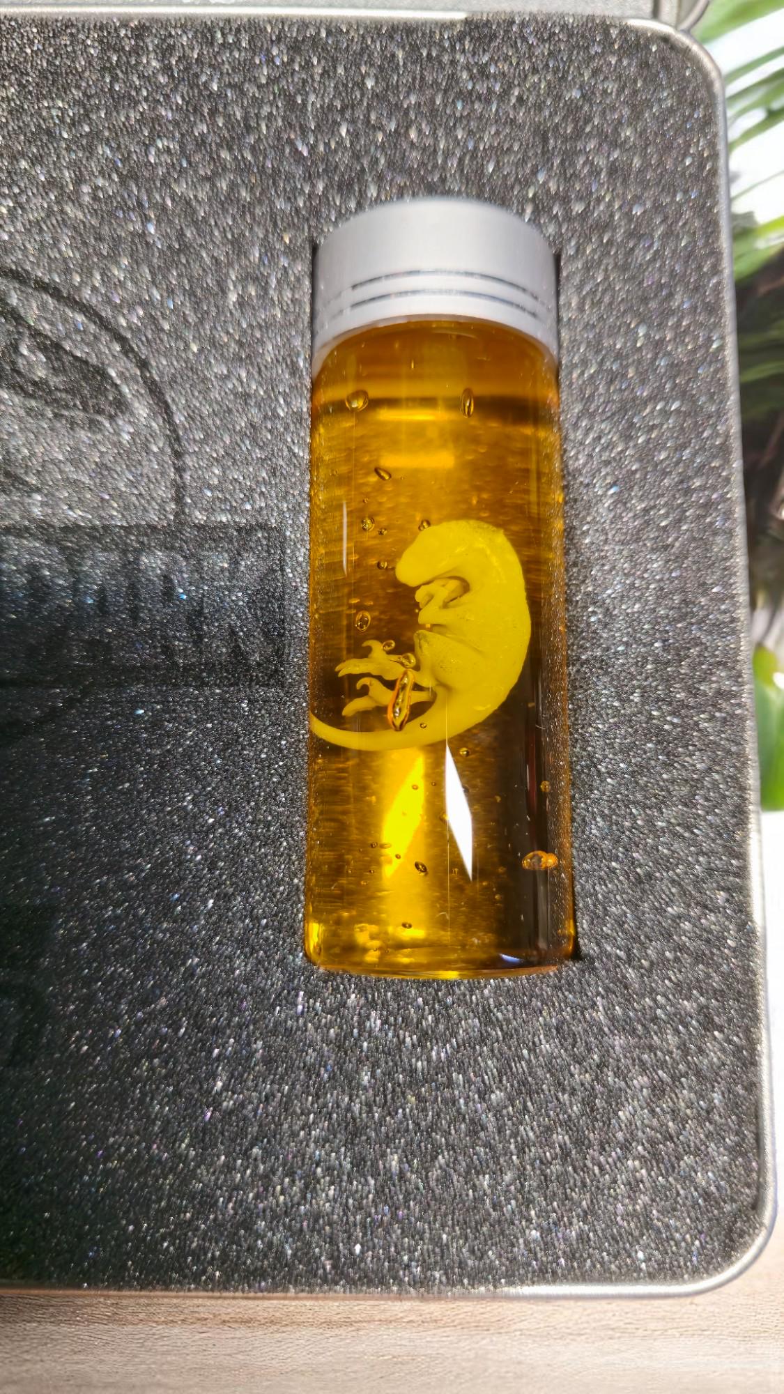 Jurassic Park Raptor Trex Embryo Sammelbox Box Koffer Schaumstoff Cosplay Sammlung Fanmade