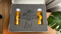 Jurassic Park Raptor Trex Embryo Sammelbox Box Koffer Schaumstoff Cosplay Sammlung Fanmade